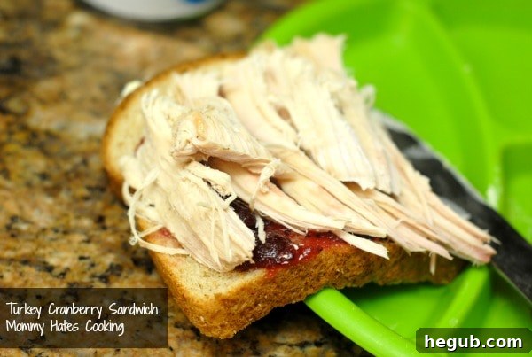 Wonder Bread for Easy Leftover Sandwiches