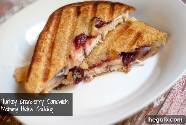 Ready-to-eat Turkey Cranberry Sandwich