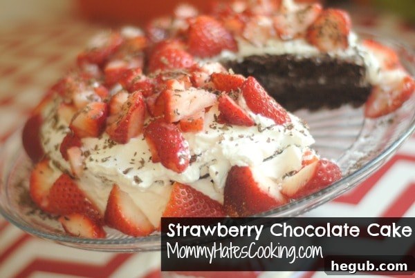 Luscious Strawberry Chocolate Dream 3 Close-up of a homemade strawberry chocolate cake slice revealing layers of chocolate cake and thick whipped cream