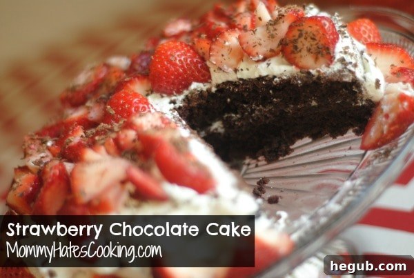 Luscious Strawberry Chocolate Dream 4 Top view of a rustic strawberry chocolate cake generously frosted with whipped cream and fresh strawberries