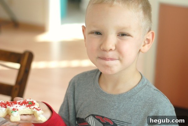 Variety of delicious Christmas Cookies and Holiday Treats
