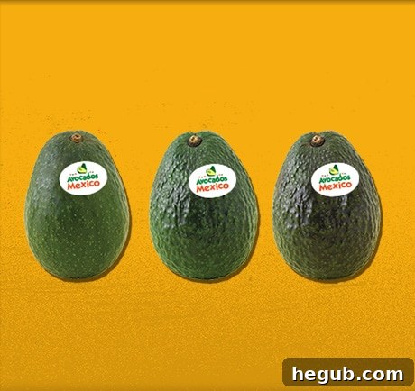 Healthy Decisions with Avocados From Mexico for a Balanced Diet
