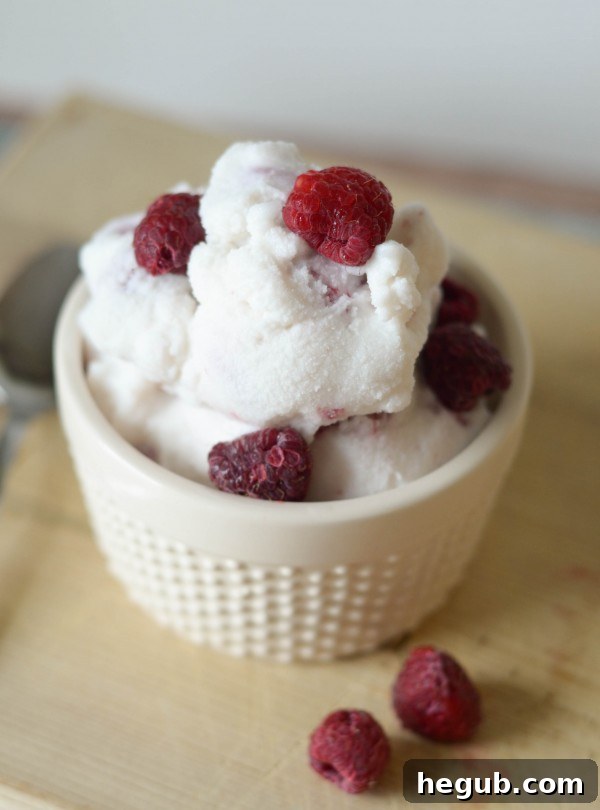Homemade Raspberry Vanilla Ice Cream