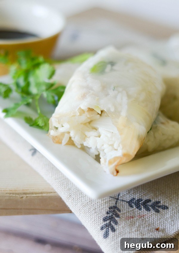 Gluten Free Spring Rolls 