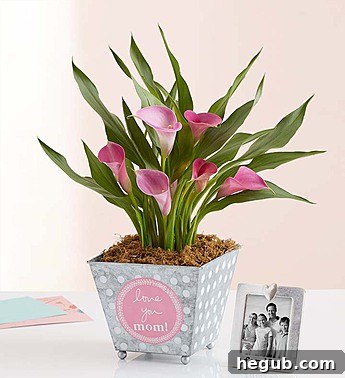 Gerbera Daisies: A Personal Favorite for Mother's Day