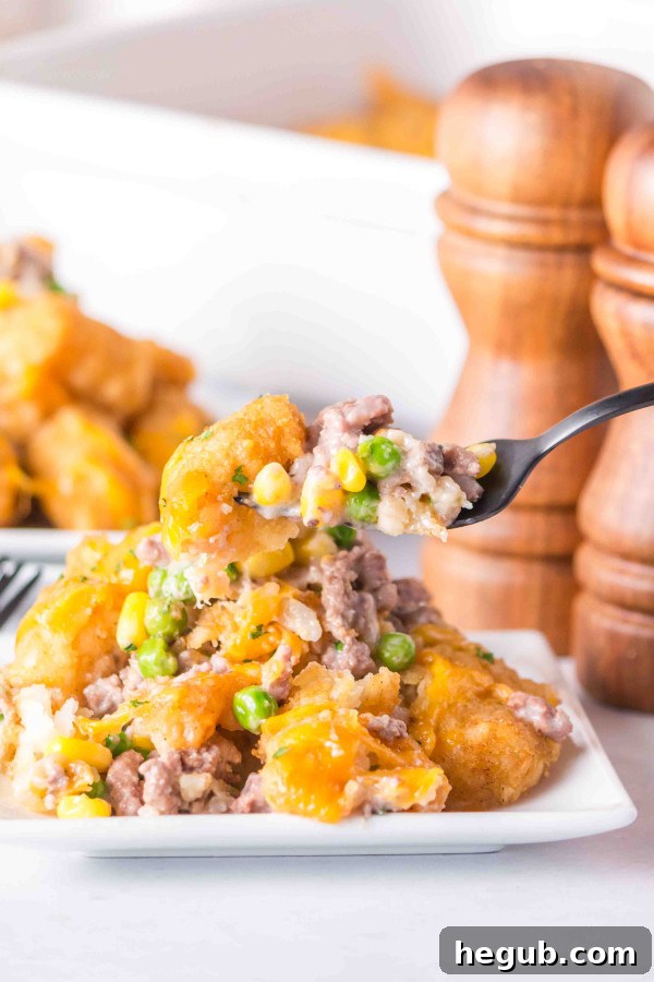 Assortment of Tater Tot Casserole dishes including breakfast and taco versions