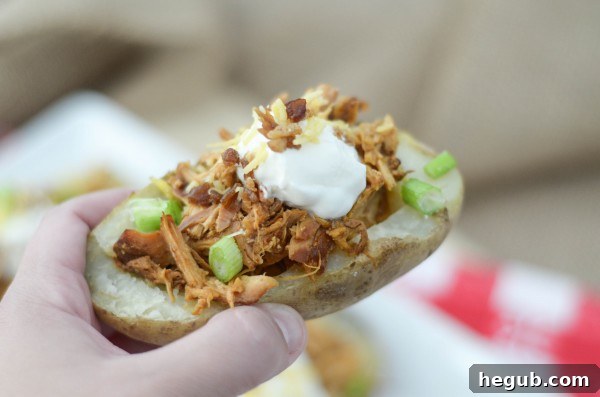 BBQ Chicken Potato Skins
