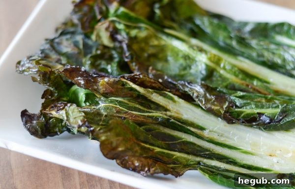 Grilled bok choy served alongside grilled chicken and other fresh vegetables for a complete meal.