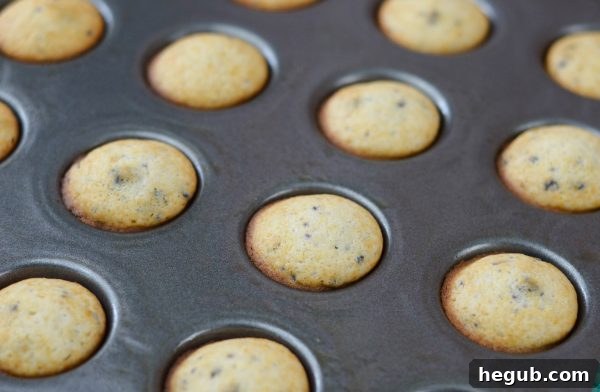 Blueberry Mini Muffins #MarthaWhiteCountry #ad