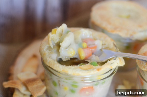 Delicious Turkey Pot Pie Made with Leftovers