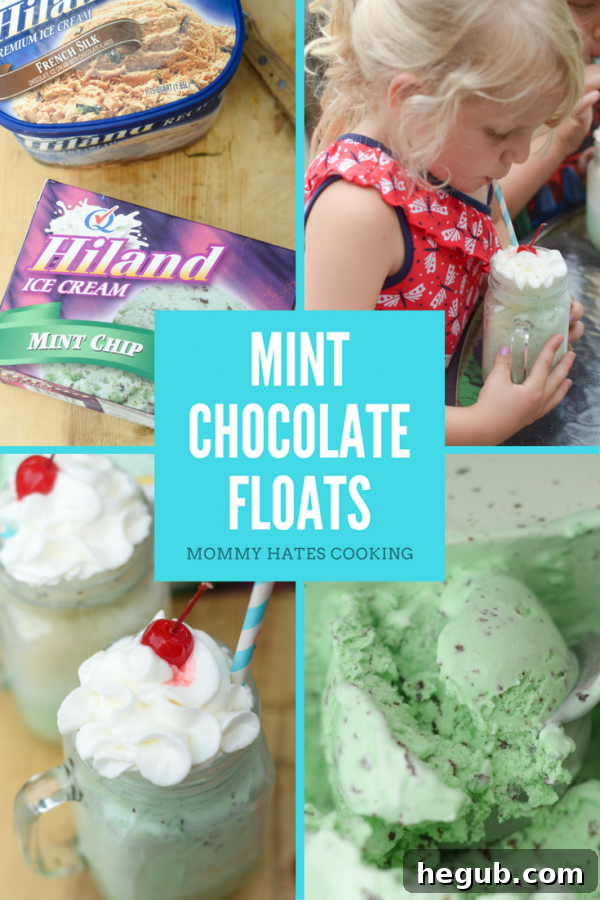 Delicious Mint Chocolate Floats prepared with creamy Hiland Dairy Mint Chocolate Chip Ice Cream, topped generously with whipped cream and a bright maraschino cherry – the quintessential summer family treat.