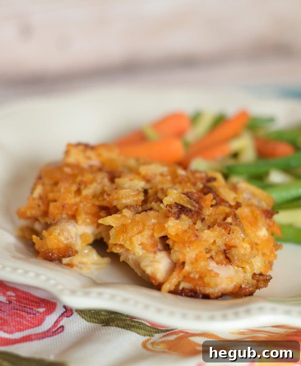 Tangy Cheesy Chicken 2 Cheddar Sour Cream Chicken, crispy and golden brown