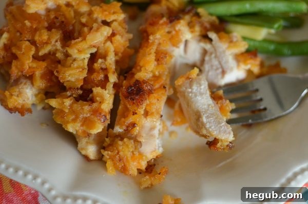 Tangy Cheesy Chicken 4 Baked Cheddar Sour Cream Chicken in a pan