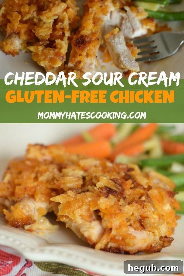 Tangy Cheesy Chicken 6 Gluten-Free Cheddar Sour Cream Chicken with potato chips