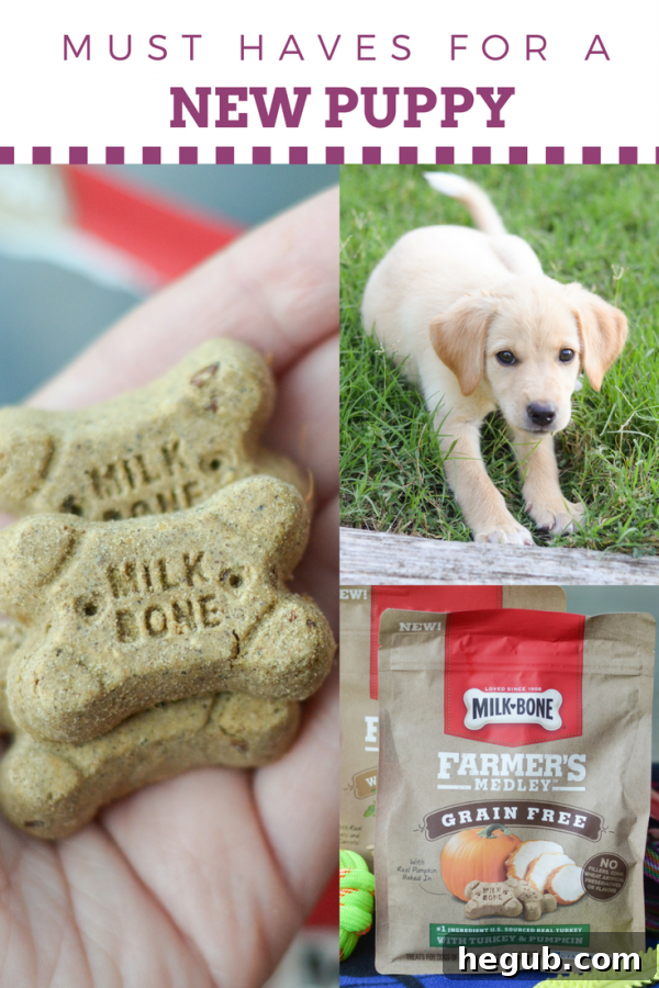 Preparing for a New Puppy - Puppy Essentials Checklist