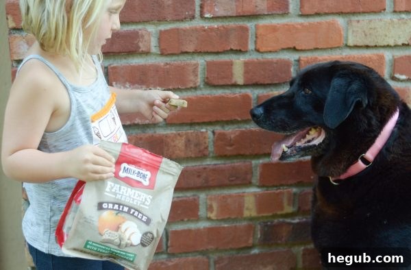 Puppy Must Haves - New Puppy Checklist