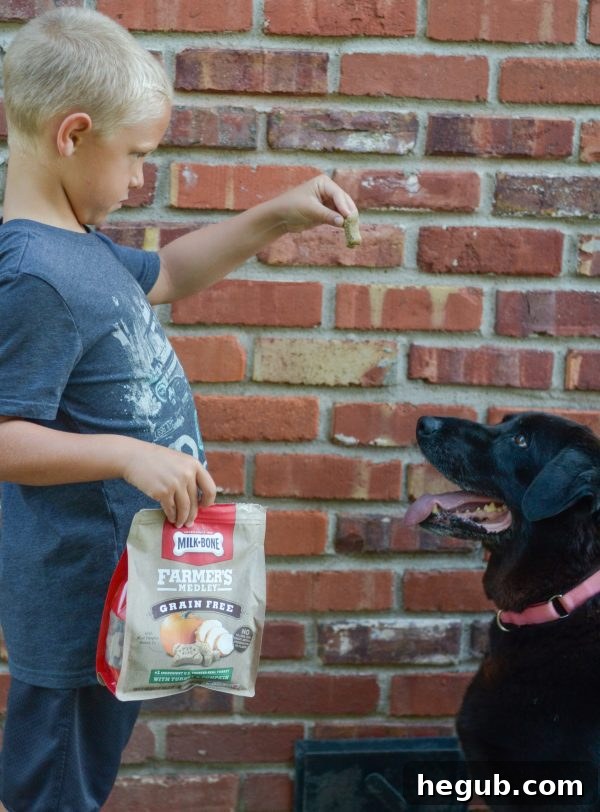 Puppy Training Treats - Milk-Bone Farmer's Medley