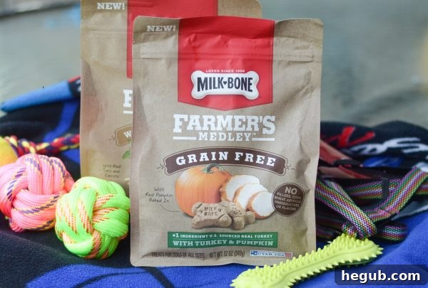 Puppy Starter Kit - 5 Must Haves