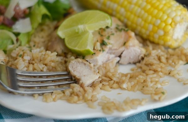 Zesty Honey-Lime Grilled Chicken 5 A vibrant plate of Honey Lime Grilled Chicken served with fresh garden vegetables