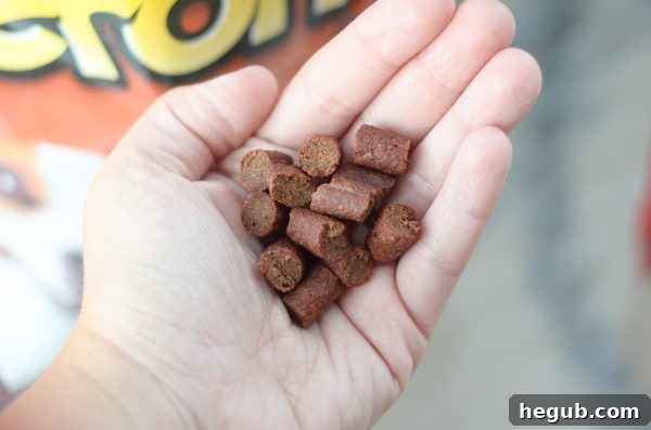 Choosing the Right Dog Treats