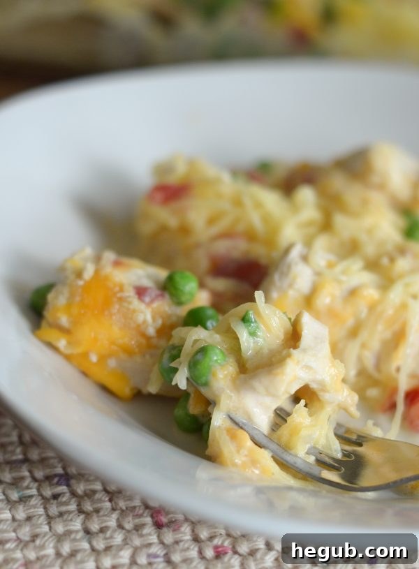 Golden-brown Chicken Spaghetti Bake with squash