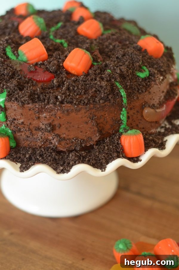 Spiced Pumpkin Patch Delight 2 Delightful Pumpkin Patch Cake for Halloween
