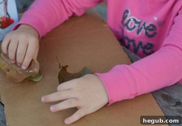 Refreshing Outdoor Fun with Capri Sun #CapriSun #CLVR #ad 