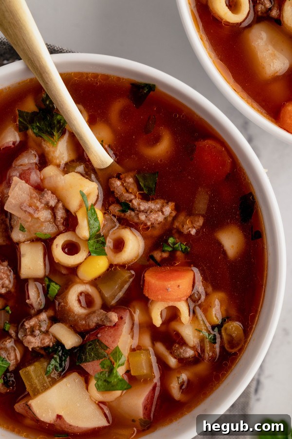 INSTANT POT BEEF AND VEGETABLE SOUP