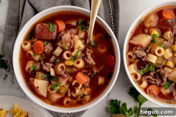 INSTANT POT BEEF AND VEGETABLE SOUP