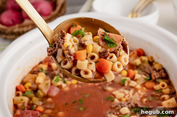 INSTANT POT BEEF AND VEGETABLE SOUP