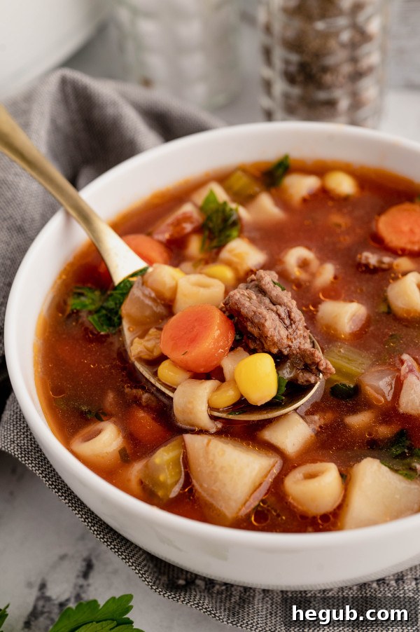 INSTANT POT BEEF AND VEGETABLE SOUP