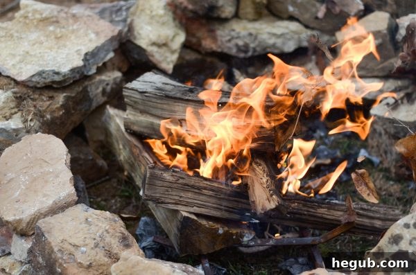 20 Simple Campfire Meals 3 Campfire
