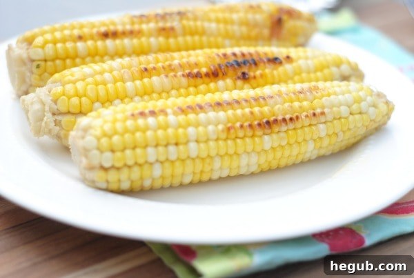 20 Simple Campfire Meals 7 20 Easy Campfire Recipes