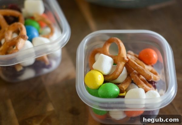 Sweet & Salty Trail Mix + Road Trip Tips
