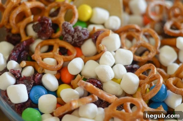 Sweet & Salty Trail Mix + Road Trip Tips