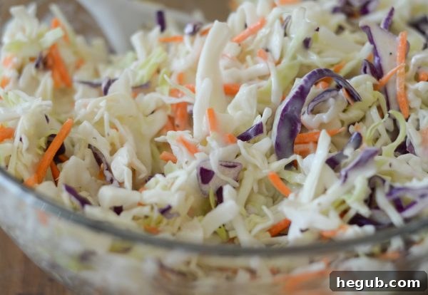 BBQ Slaw Stackers 6 Ingredients laid out for making Grilled Barbecue Slaw Burgers