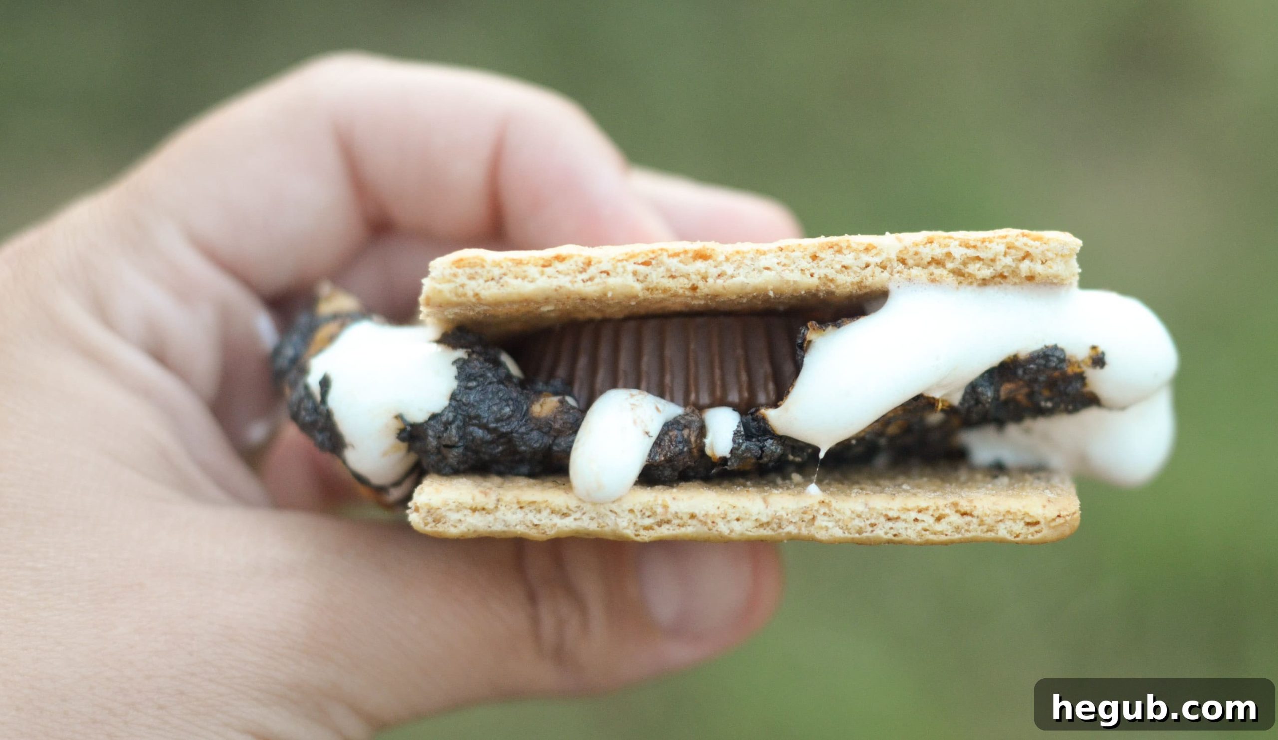 Indulgent Peanut Butter Cup S'mores, a twist on a classic summer treat