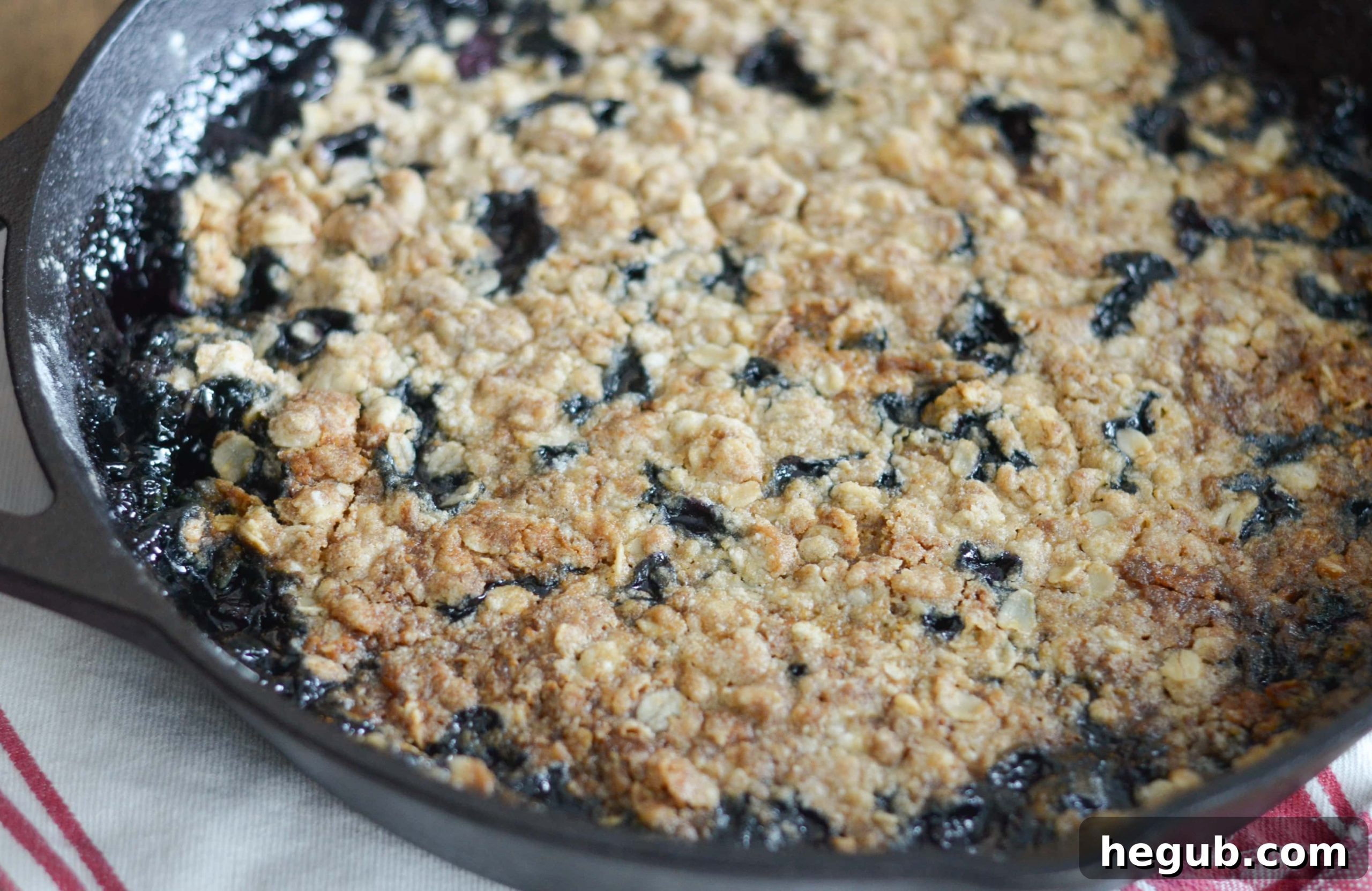 Delicious Gluten-Free Blueberry Crisp Recipe, served with vanilla ice cream