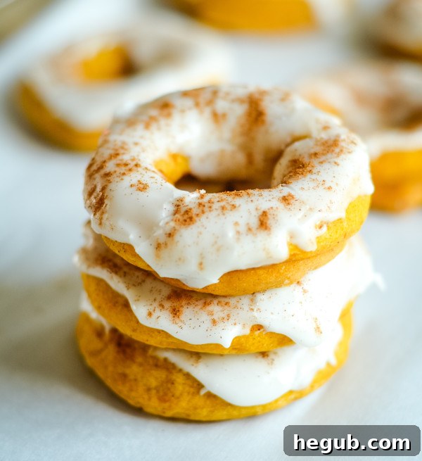 Autumn Pumpkin Cake Rings 2 gluten free baked pumpkin donuts