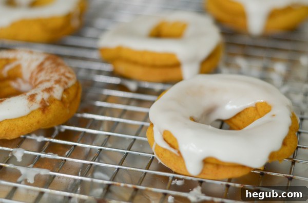 Autumn Pumpkin Cake Rings 5 gluten free baked pumpkin donuts