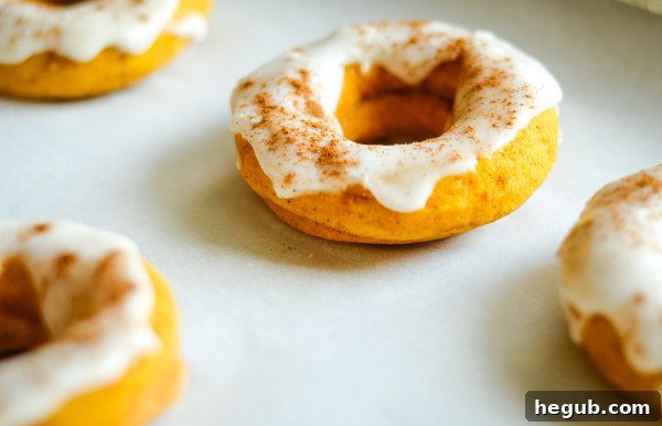 Autumn Pumpkin Cake Rings 6 gluten free baked pumpkin donuts