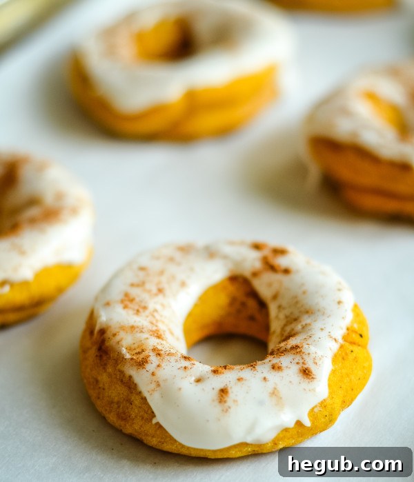 Autumn Pumpkin Cake Rings 7 gluten free baked pumpkin donuts