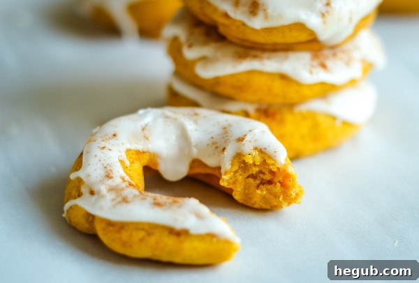 Autumn Pumpkin Cake Rings 9 gluten free baked pumpkin donuts