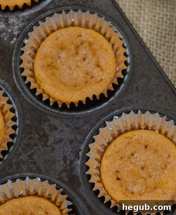 Gluten Free Pumpkin Pie Cupcakes