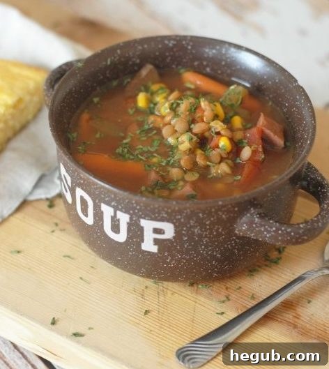 Slow Cooker Ham and Lentil Soup