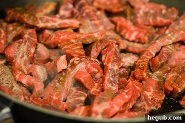 Close-up of seasoned fajita steak strips