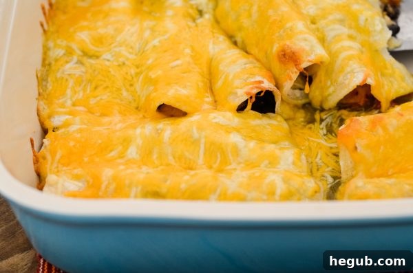 Plate of cheesy chicken enchiladas, a classic comfort food