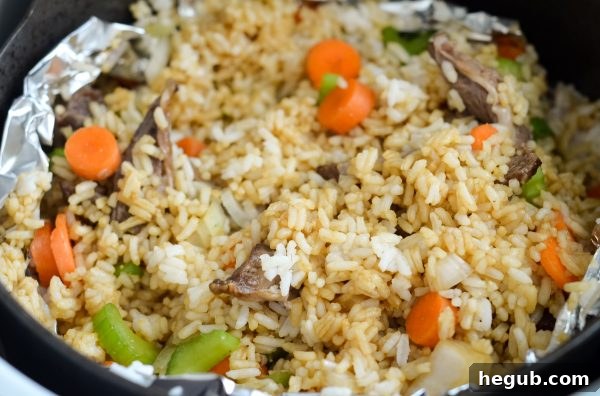 Air Fryer Beef Fried Rice
