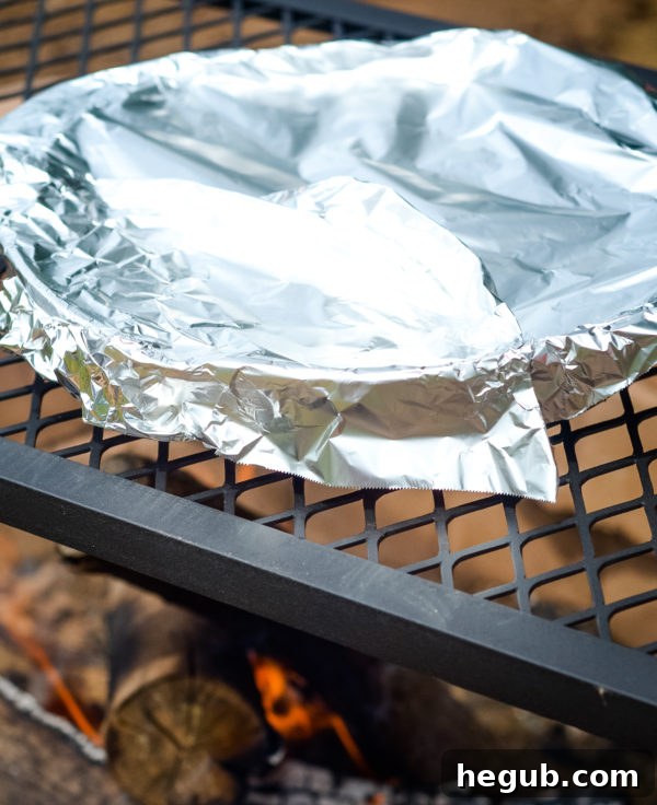 Campfire setup with a grill, perfect for cooking desserts