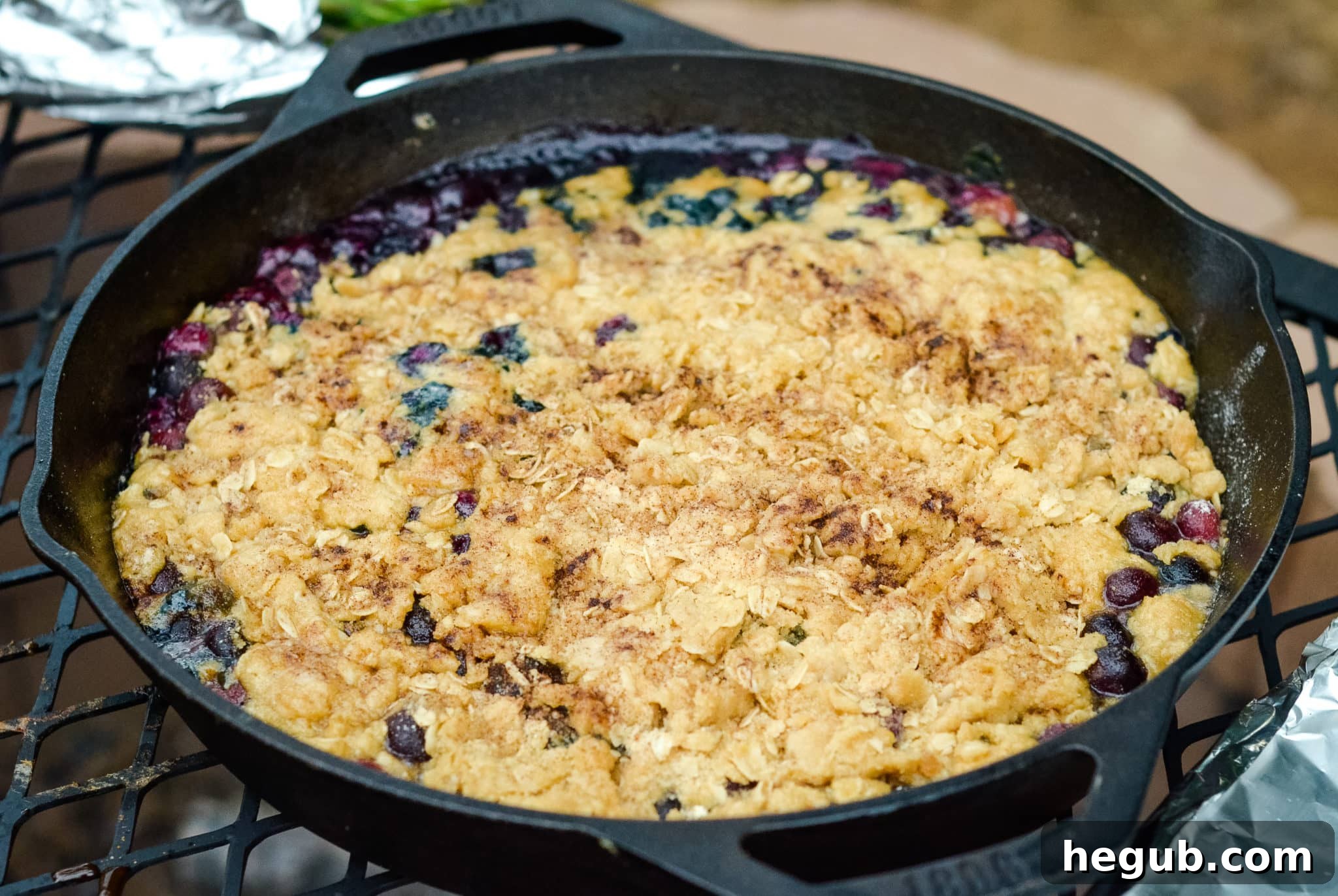 Campfire Blueberry Crisp